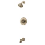 PFISTER- Selia 1-Handle Tub & Shower Faucet